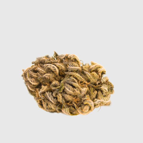 Gorilla Glue - Image 2