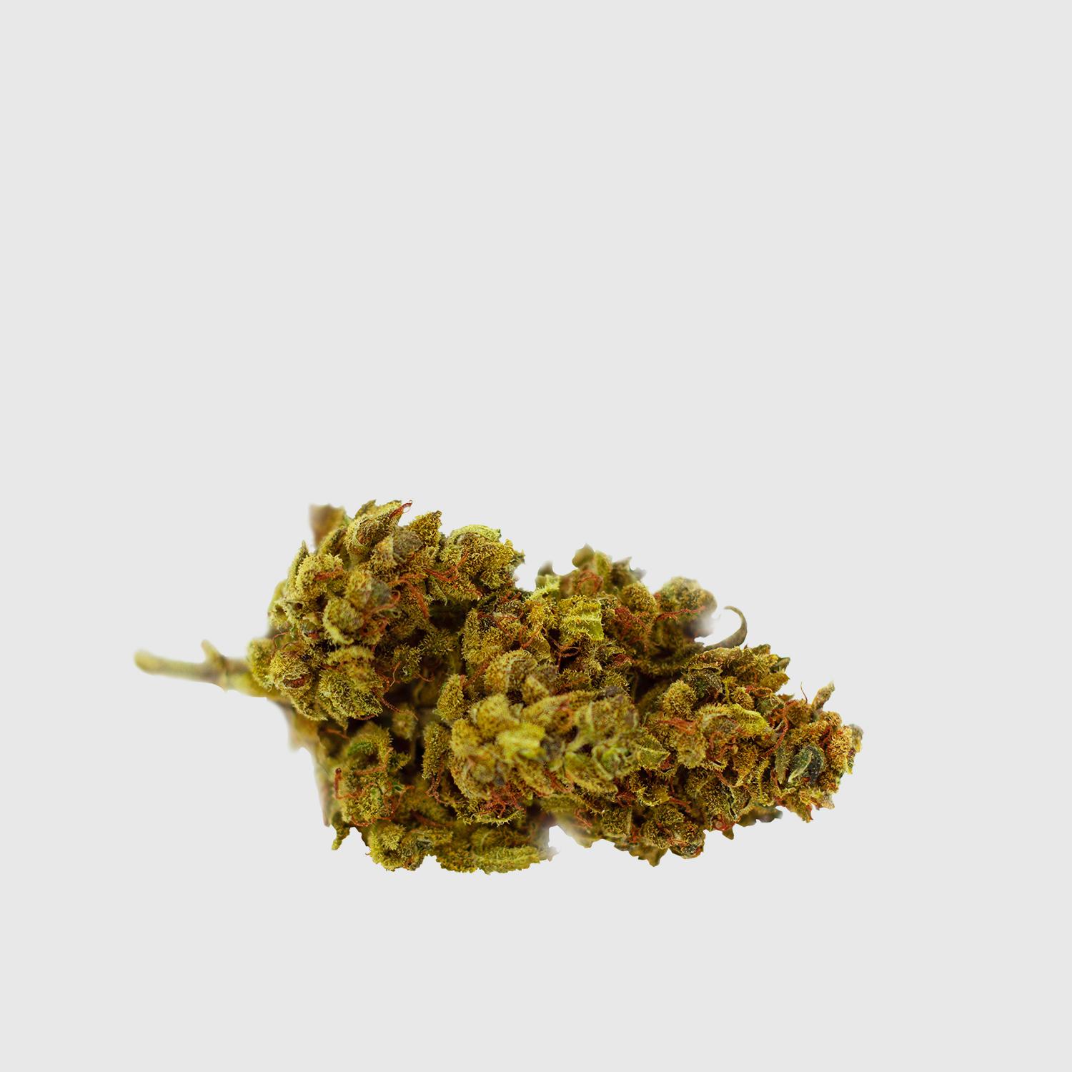 Mango Haze - Image 2