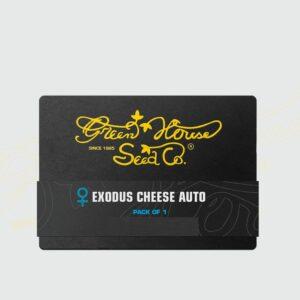 Exodus Cheese